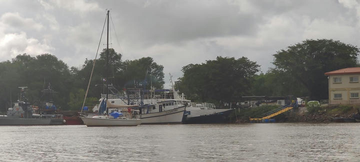 Tirb and the fisherman boats