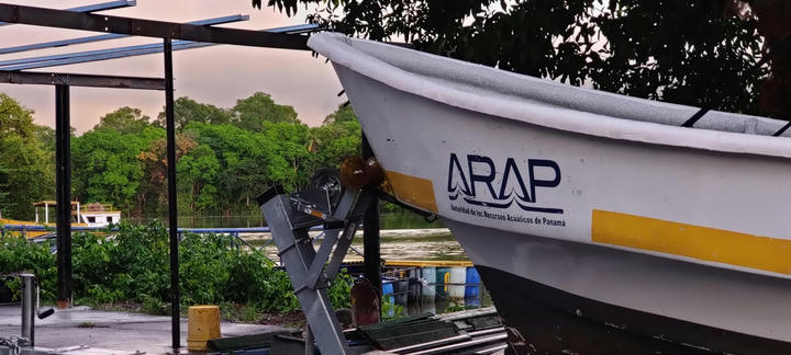 Capitania ARAP boat